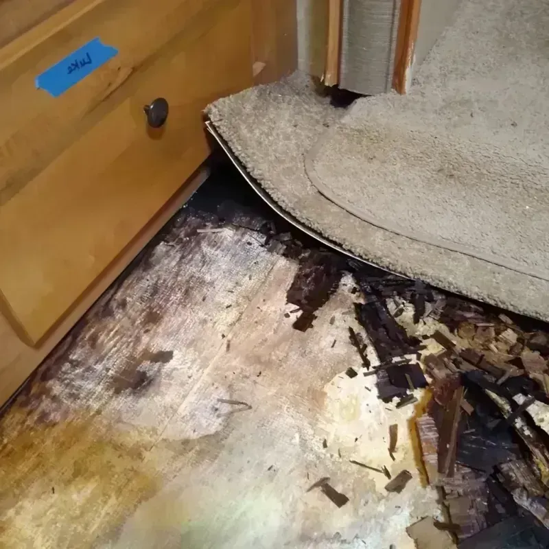 Wood Floor Water Damage in Piedmont, CA